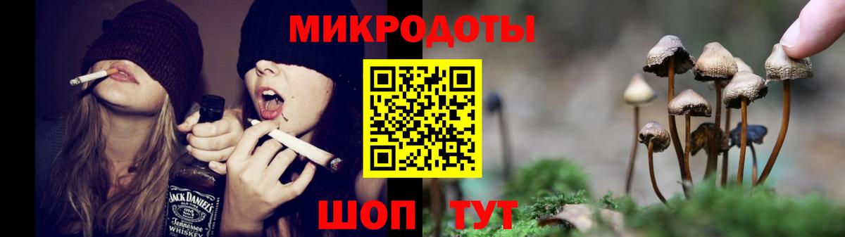 Дубна  Галлюциногенные грибы Magic Shrooms  Вход с VPN 